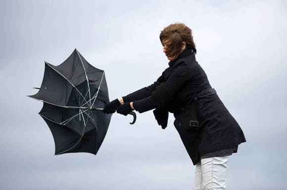 Как выбрать мужской зонт 5 полезных советов – Выгнутый зонт