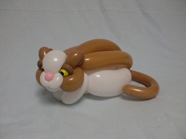 Кот Кот