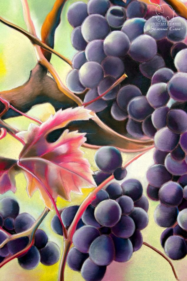 Рисуем виноград пастелью!, фото № 87