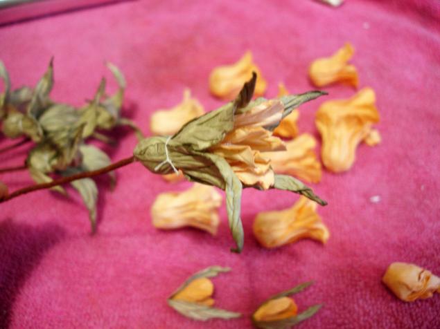 Ветвь цветов из акварельной бумаги, фото № 76