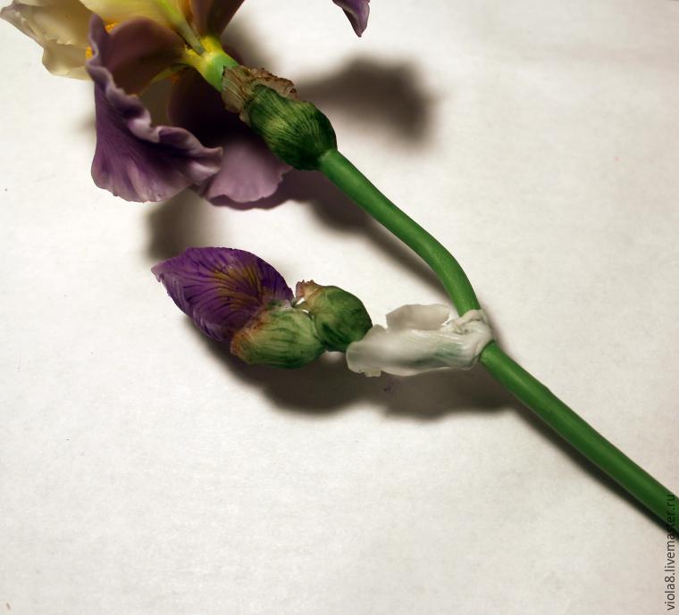 Создаем цветок ириса из полимерной глины, фото № 47