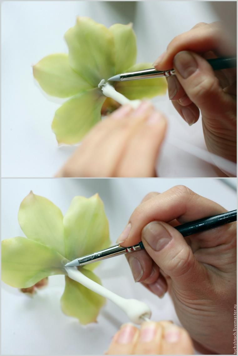Лепка орхидеи цимбидиум из полимерной глины, фото № 37