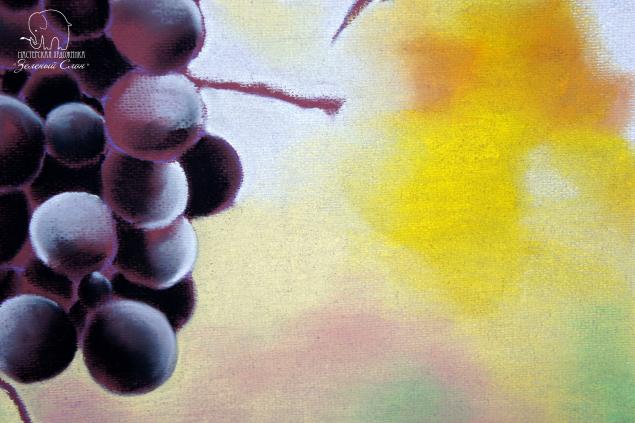 Рисуем виноград пастелью!, фото № 46