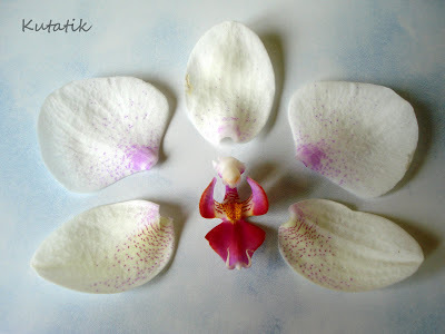 Цветок орхидеи из  полимерной глины без использования специальных молдов, фото № 4