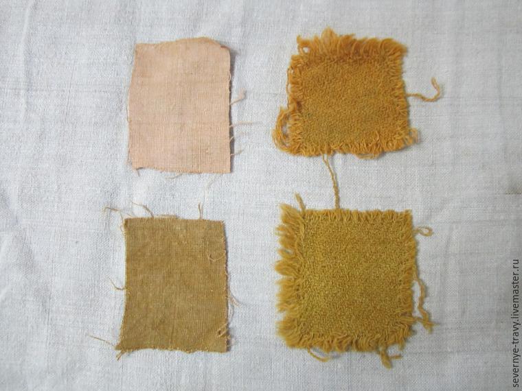 Натуральное крашение ткани. Желтый цвет, фото № 7