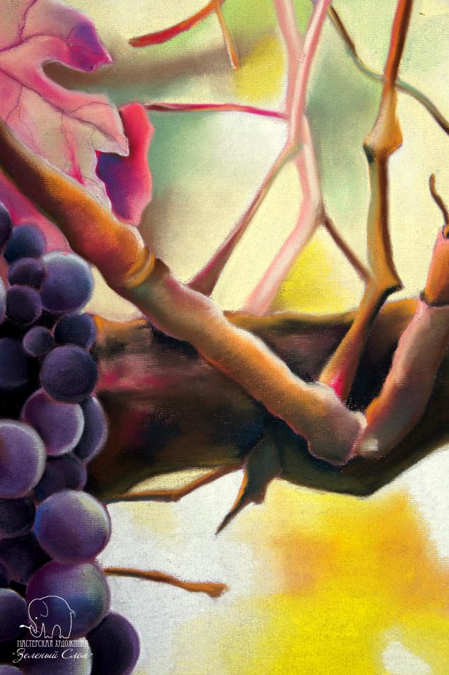 Рисуем виноград пастелью!, фото № 83