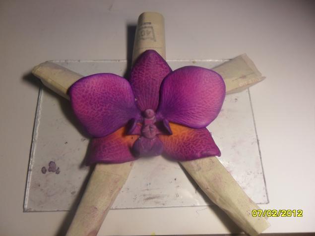 орхидея из пластики, фото № 6