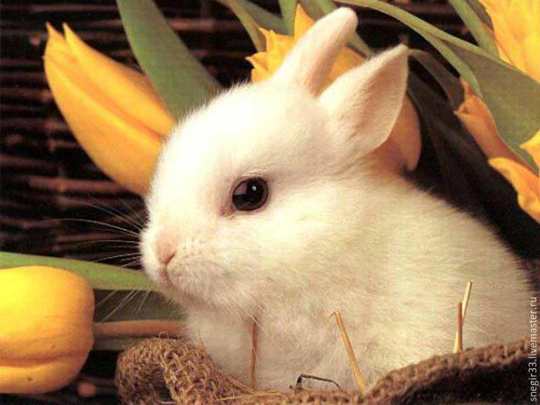 Вышиваем гладью брошь с белым кроликом, фото № 1