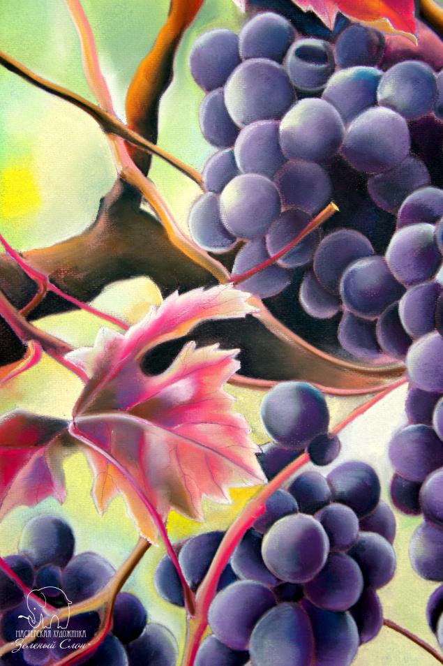 Рисуем виноград пастелью!, фото № 85
