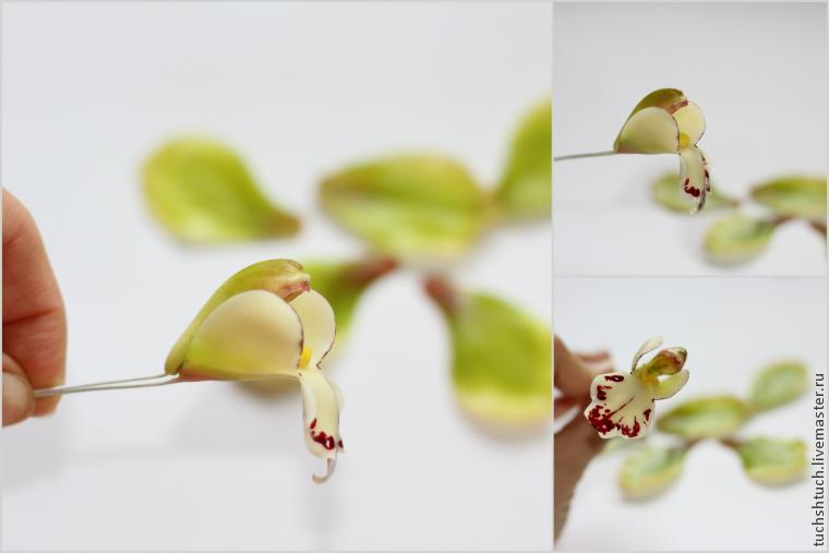 Лепка орхидеи цимбидиум из полимерной глины, фото № 32