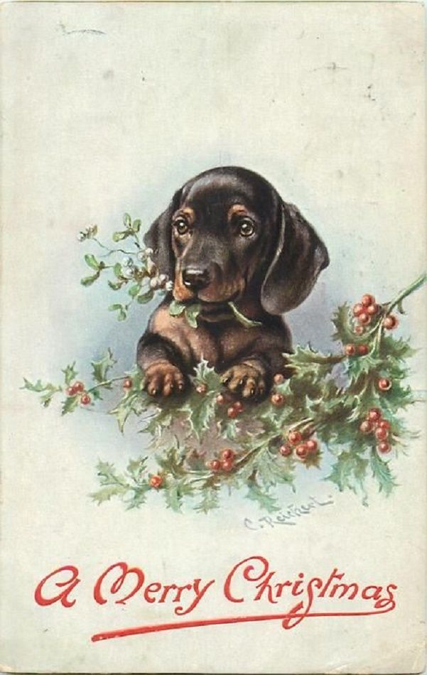 Собачки на Новогодних открытках разного времени, фото № 22