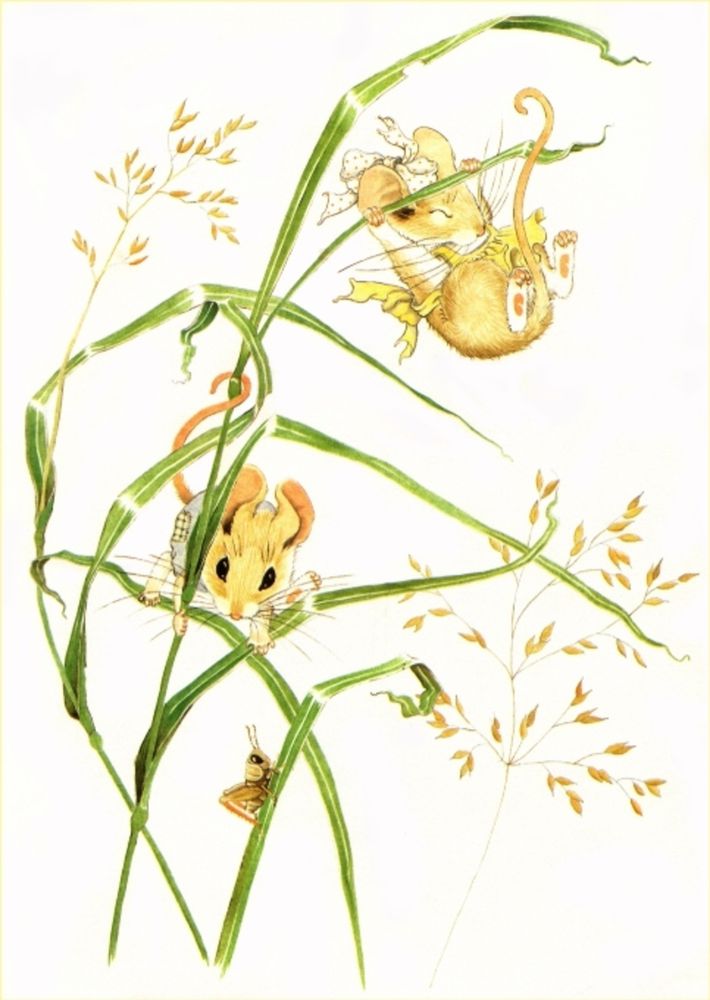 Большие приключения маленьких мышат в иллюстрациях любимых художниц, фото № 7