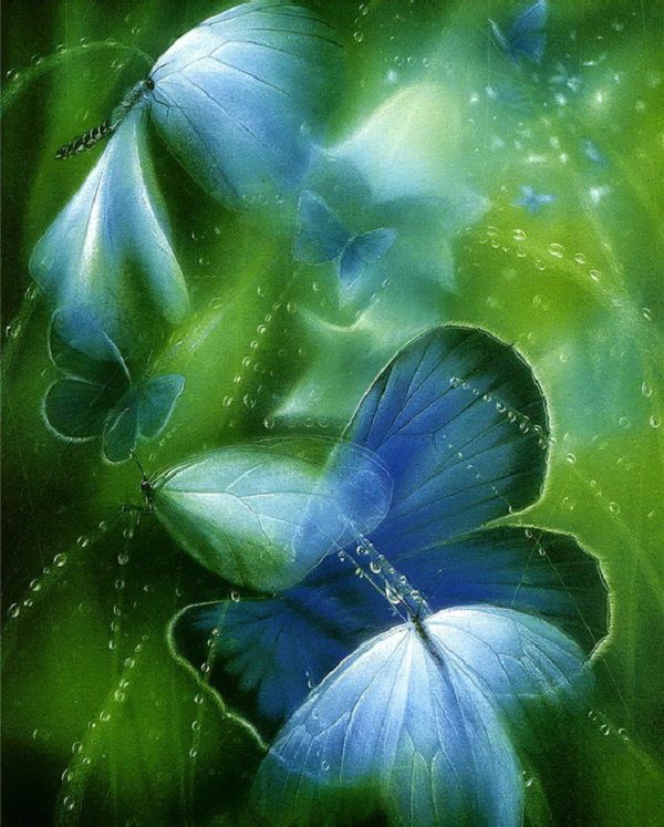 Бабочки — это цветы, которые сорвал ветер, фото № 22