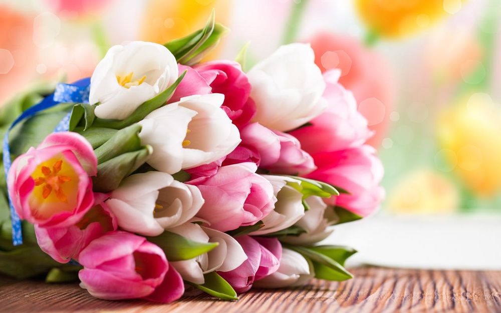 Такие разные тюльпаны. История весеннего цветка, фото № 71
