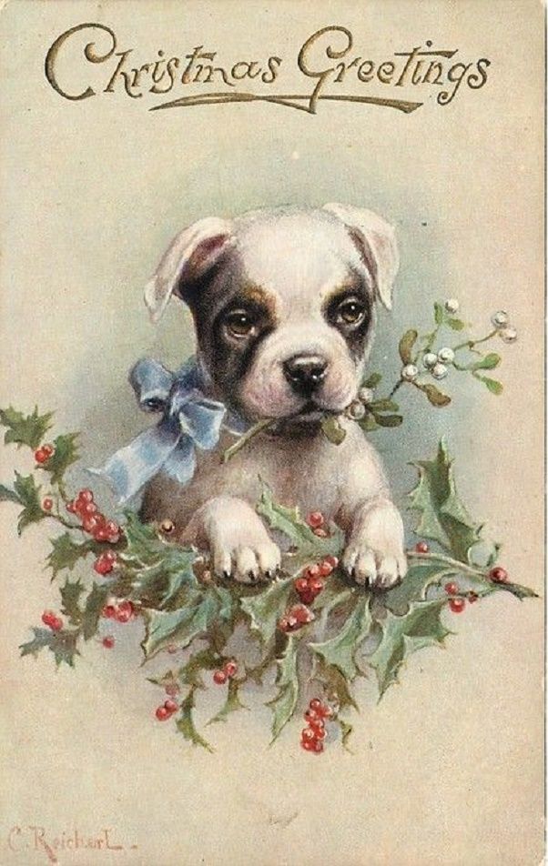 Собачки на Новогодних открытках разного времени, фото № 12