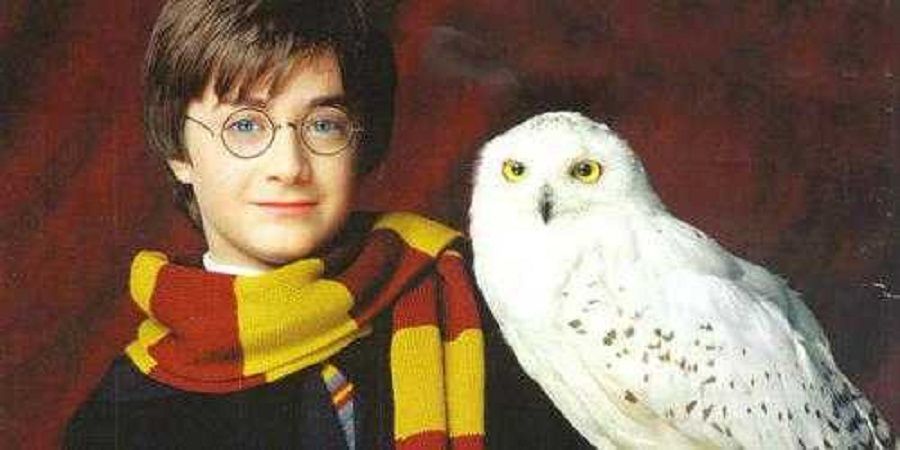 Гарри Поттер: создаем волшебный мир своими руками, фото № 18