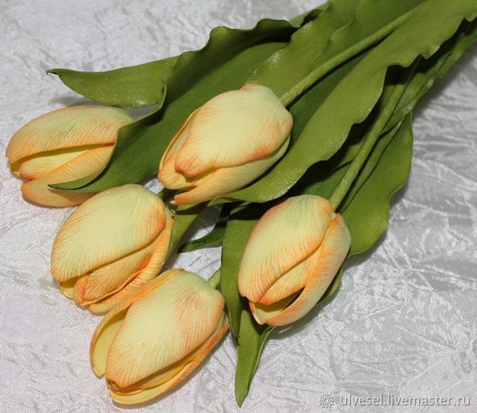 Такие разные тюльпаны. История весеннего цветка, фото № 33