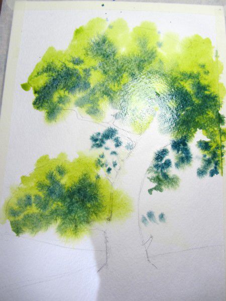 Как нарисовать дерево акварелью, фото № 6