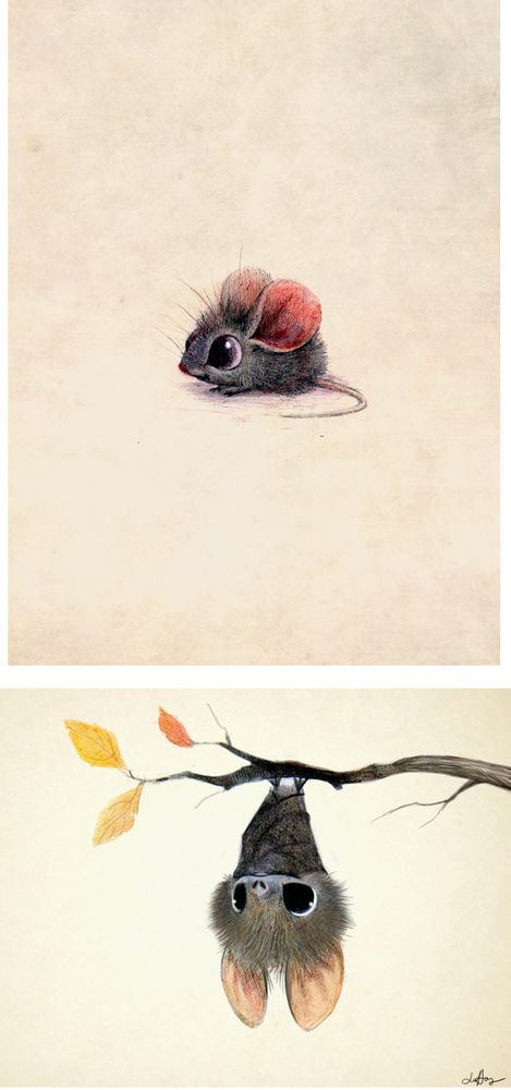 Большие приключения маленьких мышат в иллюстрациях любимых художниц, фото № 42