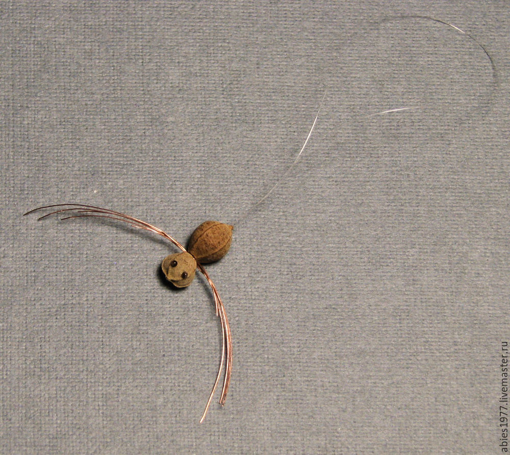 Создаём забавных паучков из орешков липы, фото № 8