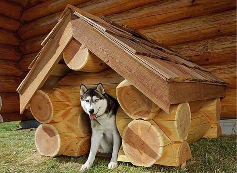 Строим своими руками деревянную будку для собаки, используя бревно