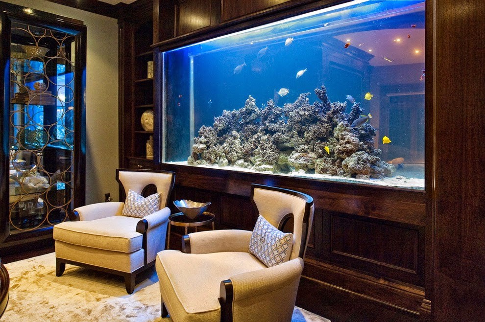 современный аквариум