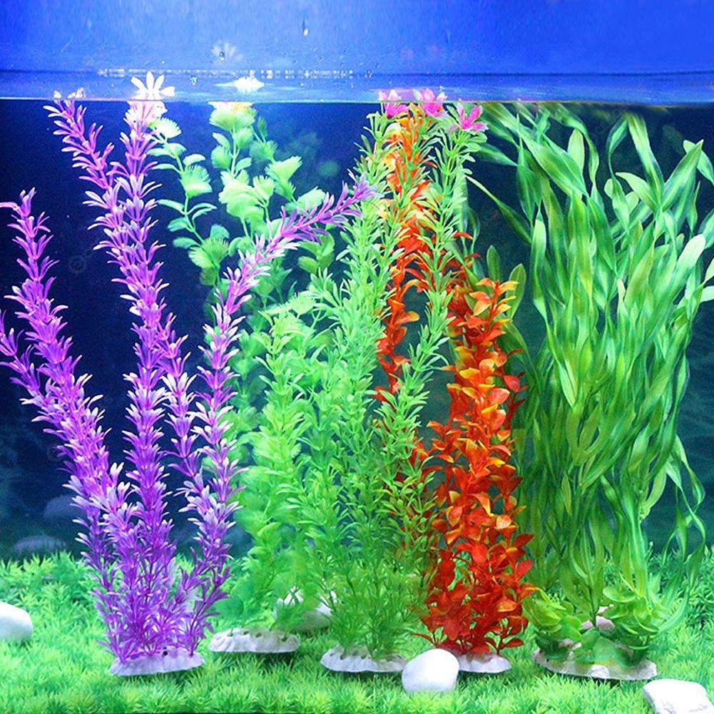 Декоративные растения из пластика в домашнем аквариуме