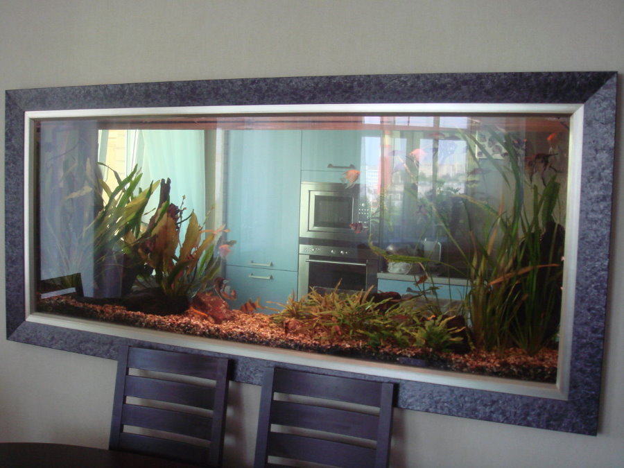 Прозрачный аквариум в тонкой межкомнатной перегородке