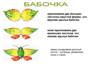 приклеиваем два больших листочка округлой формы -это верхние крылья бабочки н