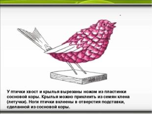 У птички хвост и крылья вырезаны ножом из пластинки сосновой коры. Крылья мож