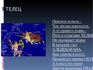 ТЕЛЕЦ Орионов поясок - Три звезды наискосок, А от правого конца - Путь в созв