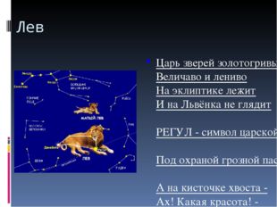 Лев Царь зверей золотогривый Величаво и лениво На эклиптике лежит И на Львёнк