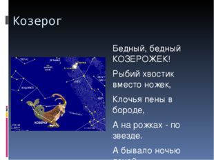 Козерог Бедный, бедный КОЗЕРОЖЕК! Рыбий хвостик вместо ножек, Клочья пены в б