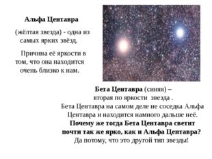  Бета Центавра (синяя) – вторая по яркости звезда . Бета Центавра на самом де