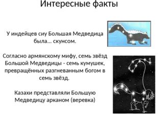 Интересные факты У индейцев сиу Большая Медведица была... скунсом. Согласно а