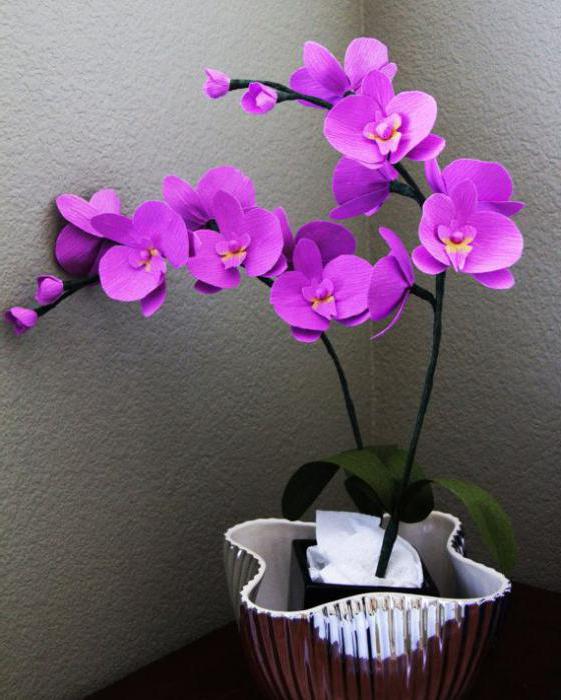 Орхидея из бумаги гофрированной