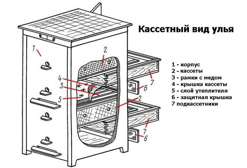 Кассетный вид улья