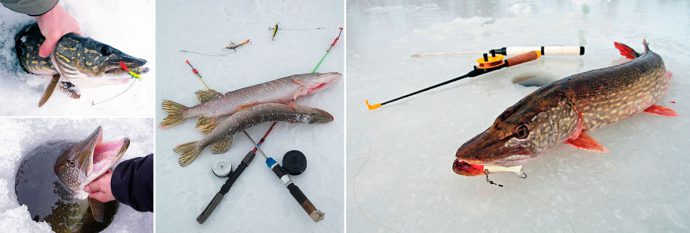 Зимняя рыбалка в Коми