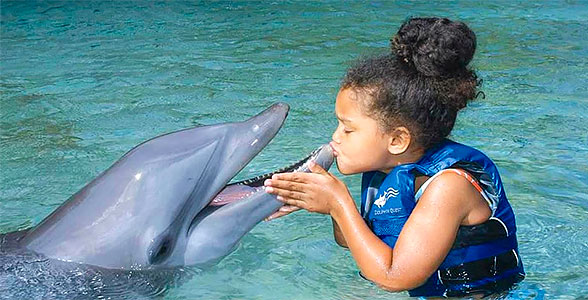 delfiny-love