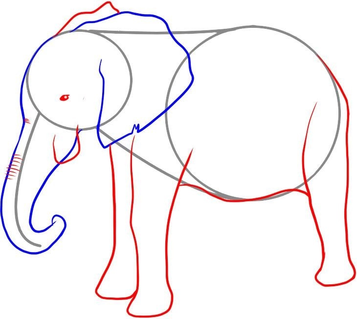 Как нарисовать слона карандашом: рисование нижней части тела.