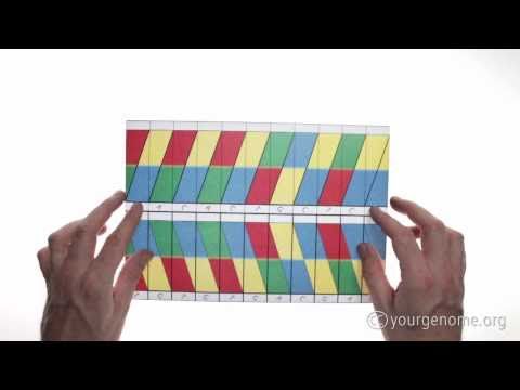 DNA origami: how to fold a double helix