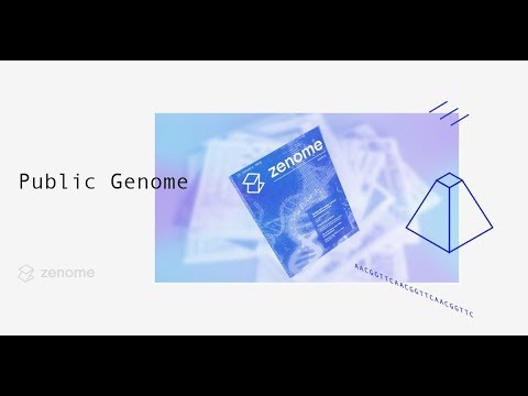 Zenome - ДНК Маркетплейс