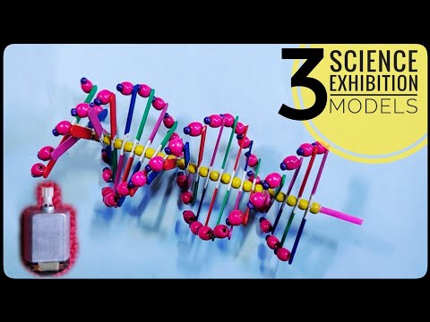 3 Easy DNA MODEL PROJECT Ideas 