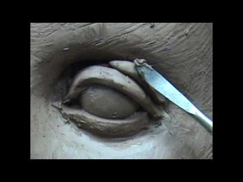 Sculpting open eyes in clay. Sculpting tutorial.