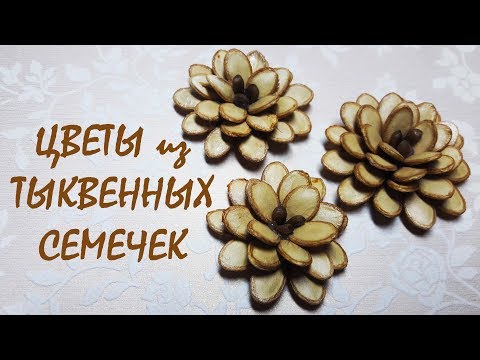 Цветы из тыквенных семечек / DIY