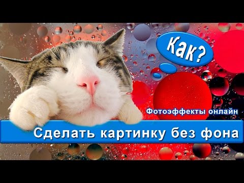 Фотоэффекты онлайн. Как сделать картинку без фона