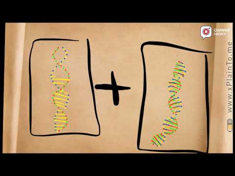 ДНК-оригами