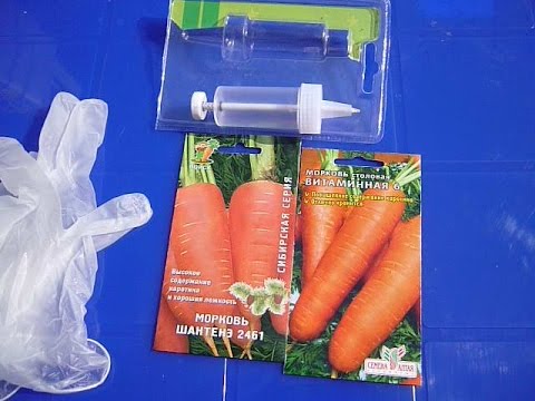 СУПЕР способ посадки моркови без прореживания. Сеялка для моркови. Посев морковь шприцем-сеялкой.