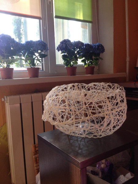 photo3