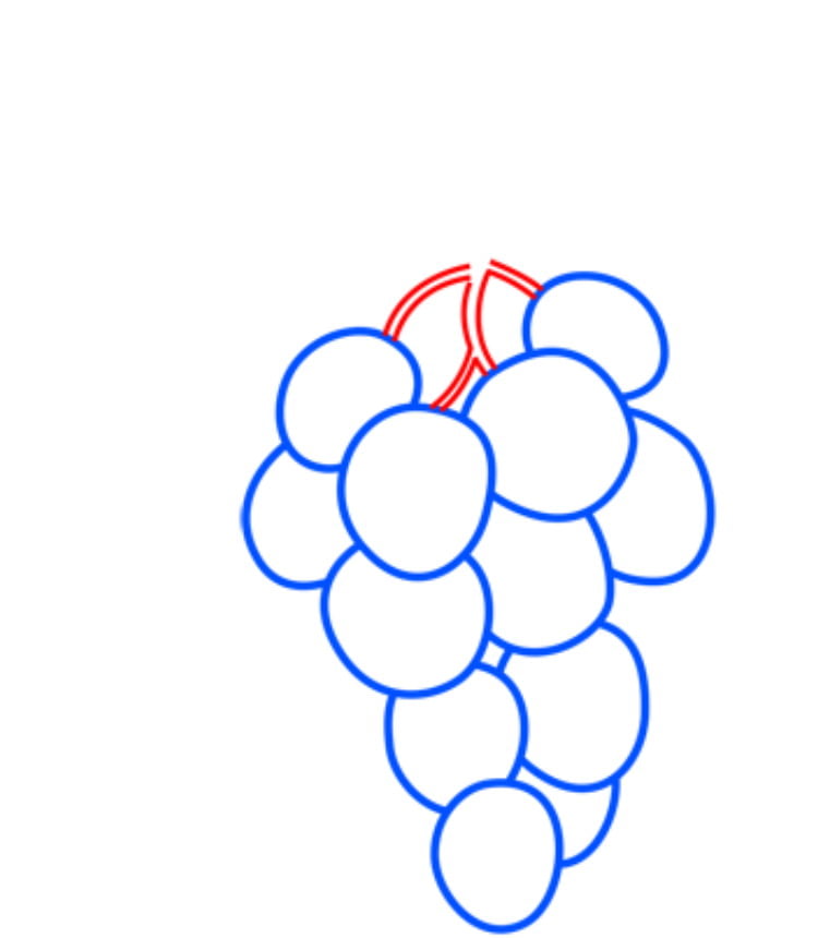 grapes06